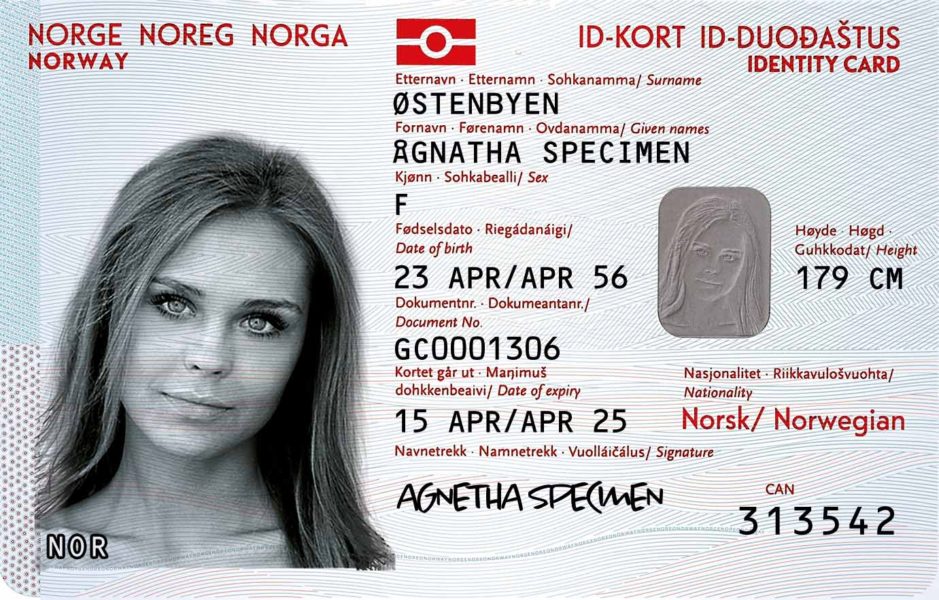 “NASJONALT IDENTITETSKORT” CARD | Fake ID World