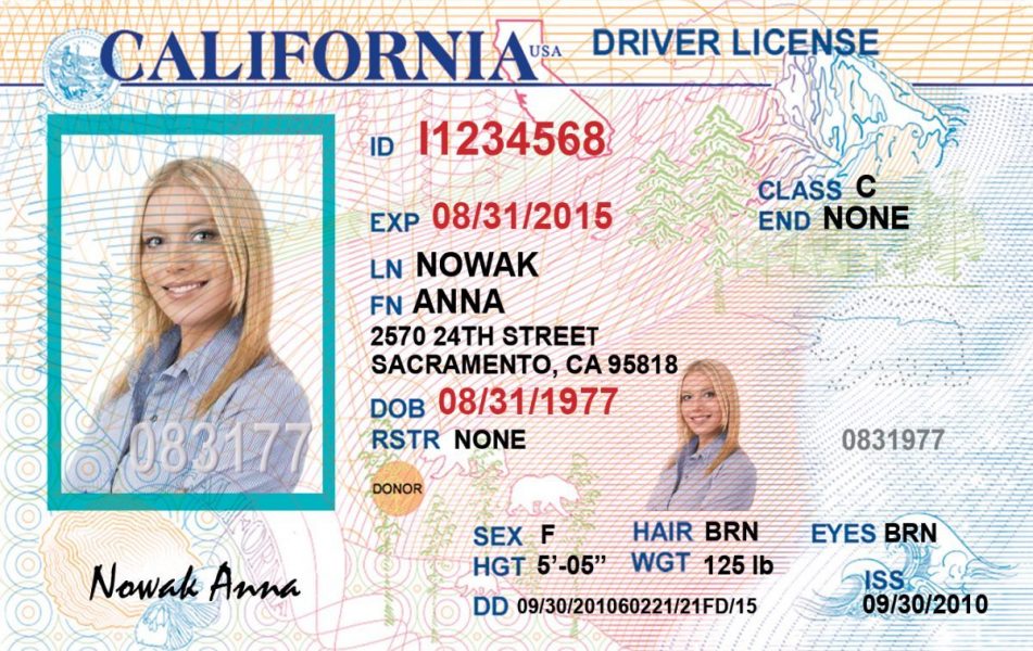 Californian driving licence Card | Fake ID World