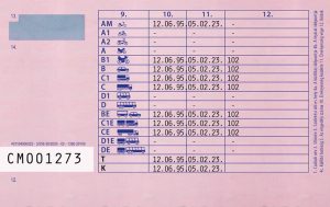 Hungarian Driving License 